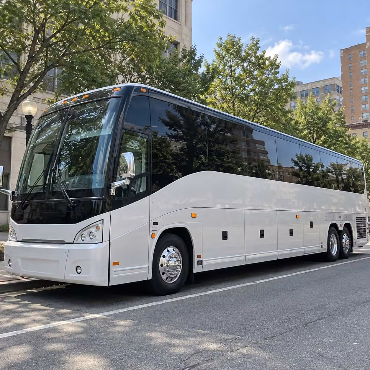 with so many pearland field trips headed to the houston zoo make transportation the easy part